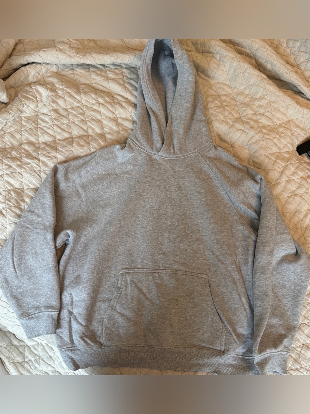 Aritzia Hoodie